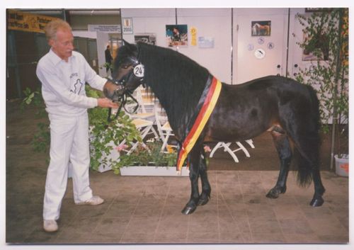 titel dartmoor carino archiv prps