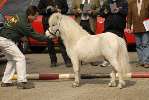 monopoly van dyck mawe d420098