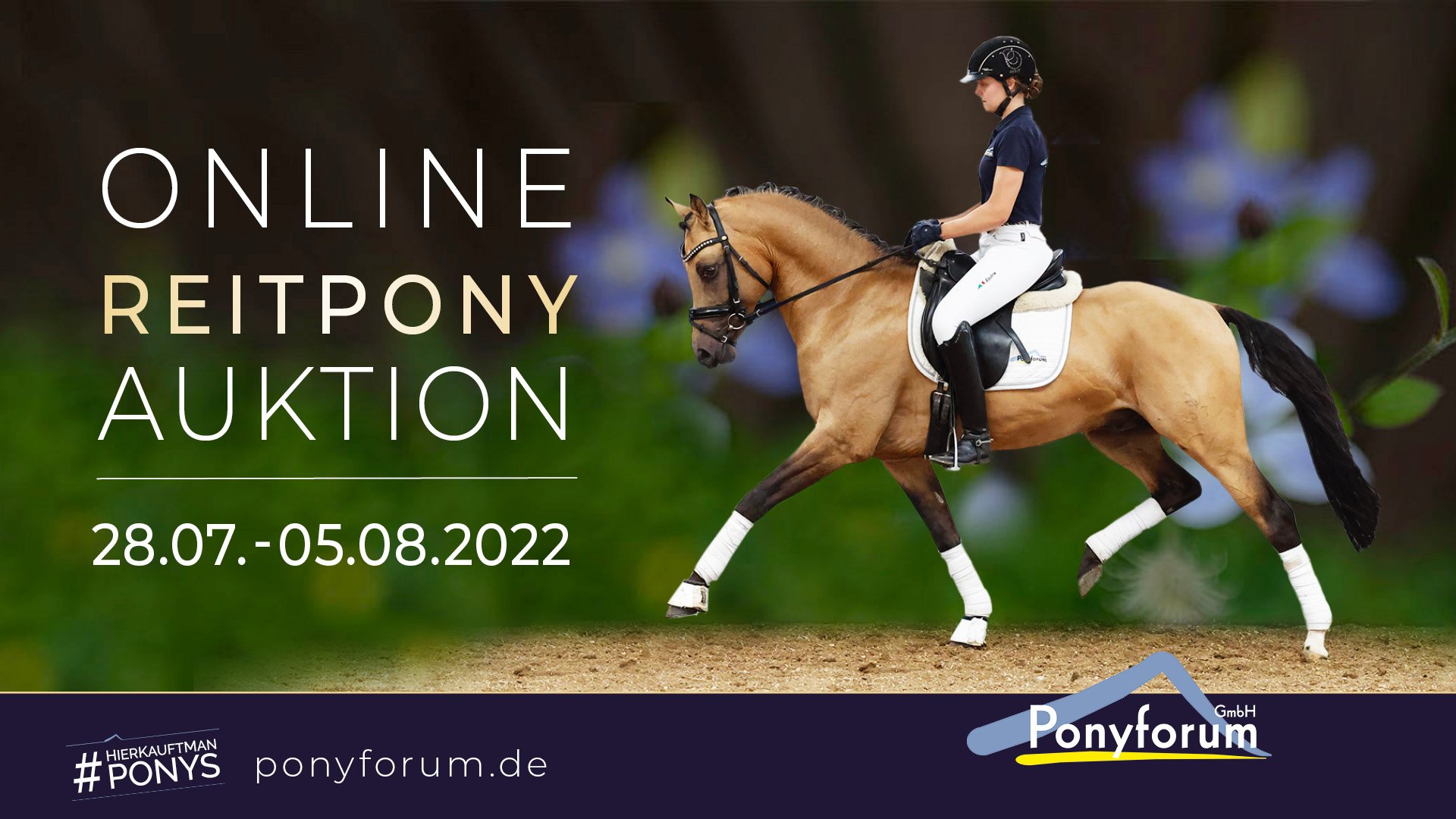 Ponyforum GmbH: Start der Reitpony Online Auktion!