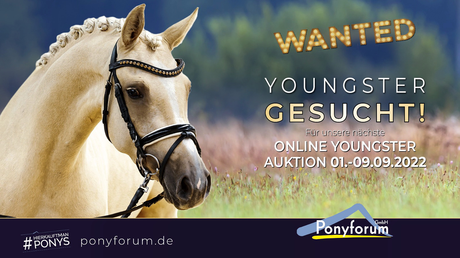 Online Youngster Auktion 09 22