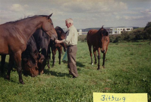 stutenherde und franz janetzky