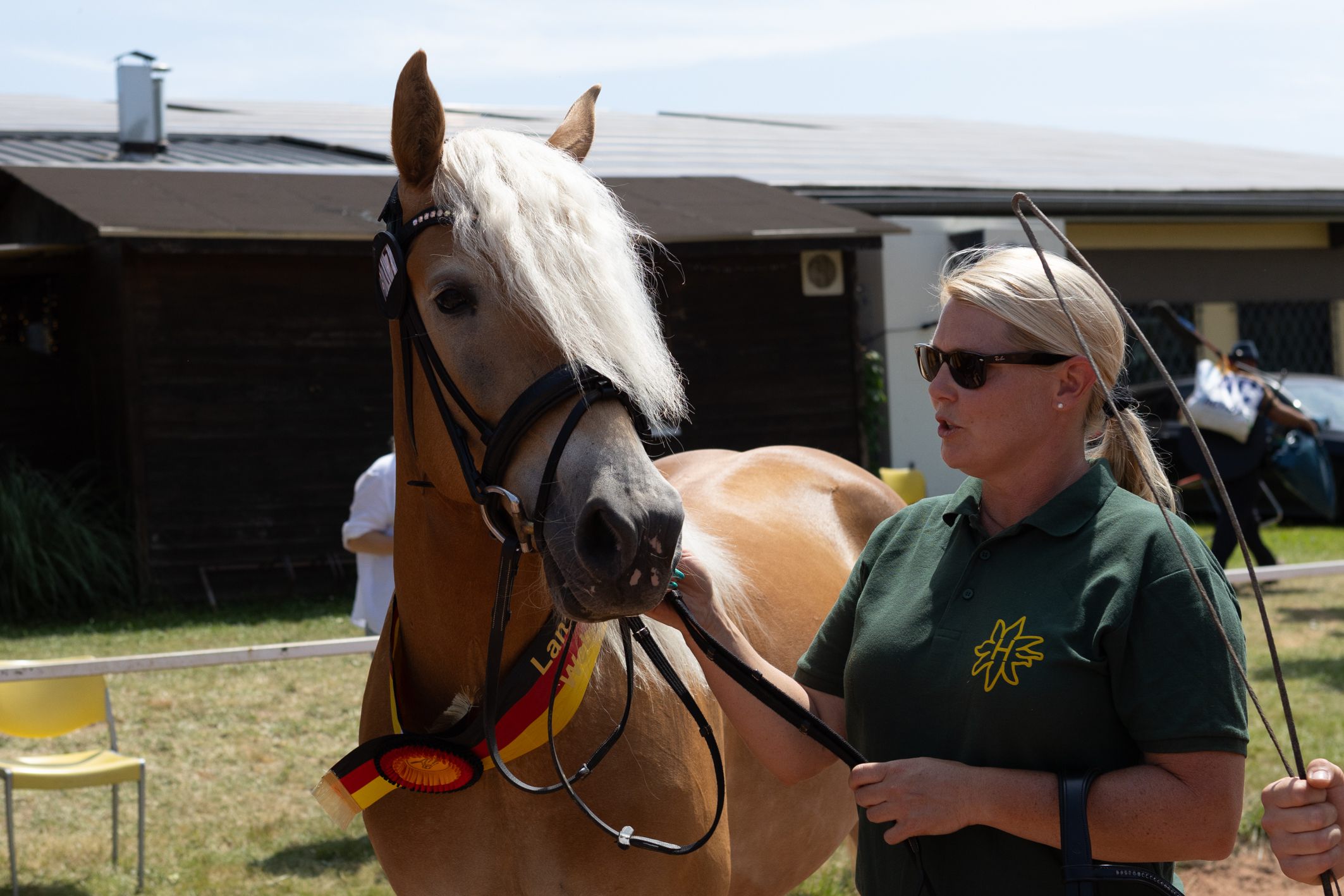 Siegerstute Haflinger StPr St Salanda B