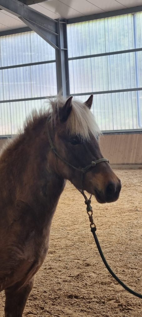 Tíbrá vom Rebberg von Michel Becker, Rorodt